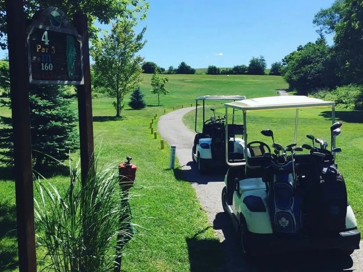 a bag of luggage sitting on top of a grass covered field